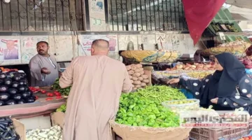 الطماطم بـ 5 جنيه.. تراجع كبير في أسعار الخضار والبطاطس اليوم بالأسواق 1